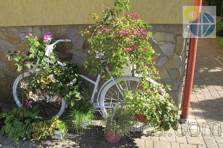 Східниця Вілла Мозола .