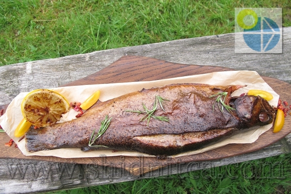 Реберня BBQ GRILL
