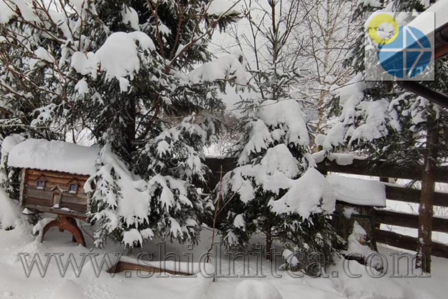 Вілла Медова