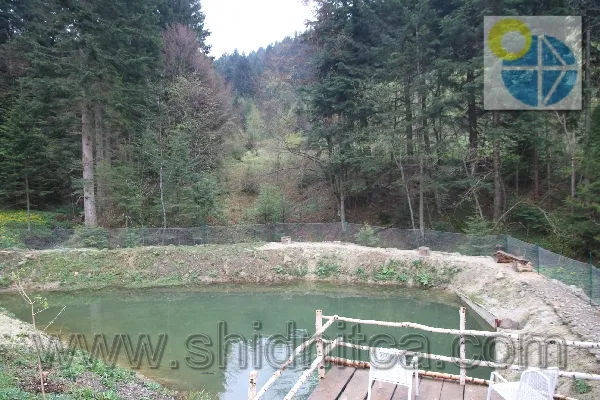 Сходница Вилла Замковый мост.