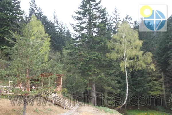 Сходница Вилла Замковый мост.