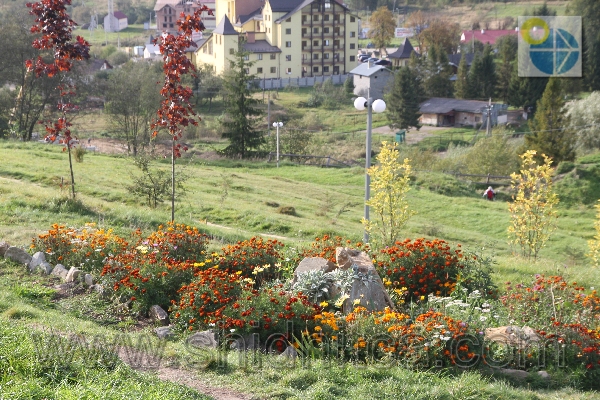 Фото.Східниця.