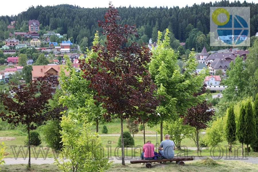 Східниця.Парк Пантелеймона Цілителя