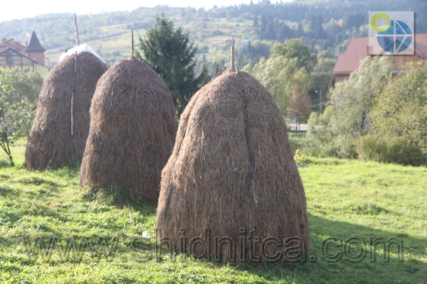 Фото.Східниця.