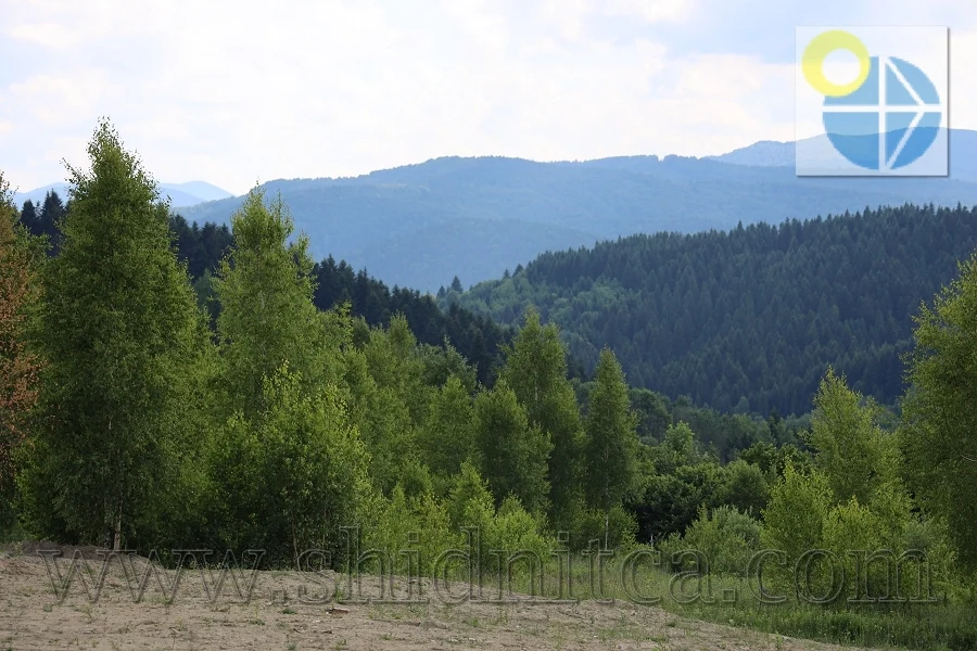 Східниця фото краєвидів